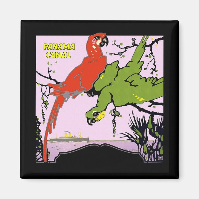 Panama Canal Parrots Magnet (Framsidan)