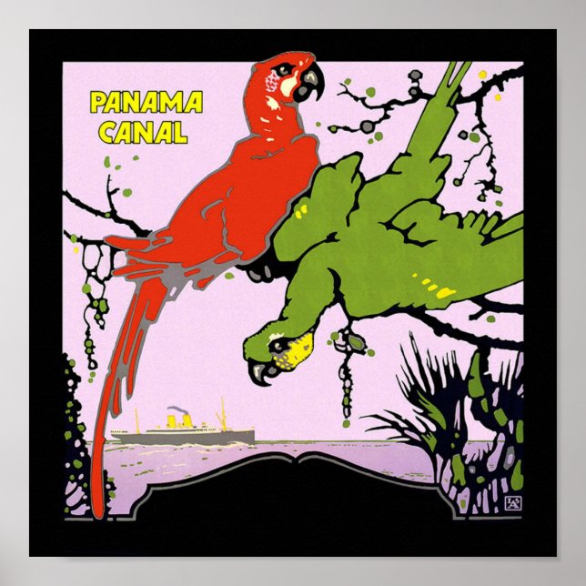 Panama Canal Parrots Poster (Framsidan)