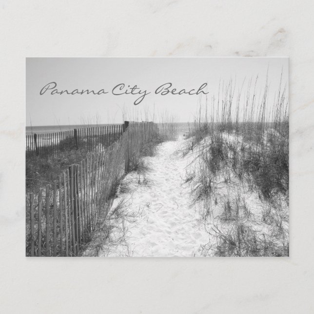 Panama City Beach Access Black & White Vykort (Framsida)