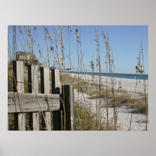 Panama City Beach Poster (Framsidan)