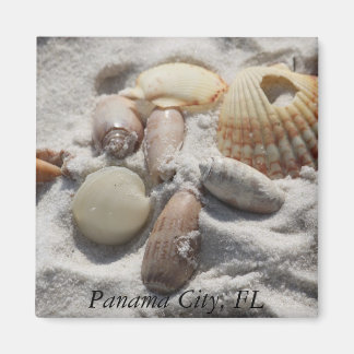 Panama City Magnet