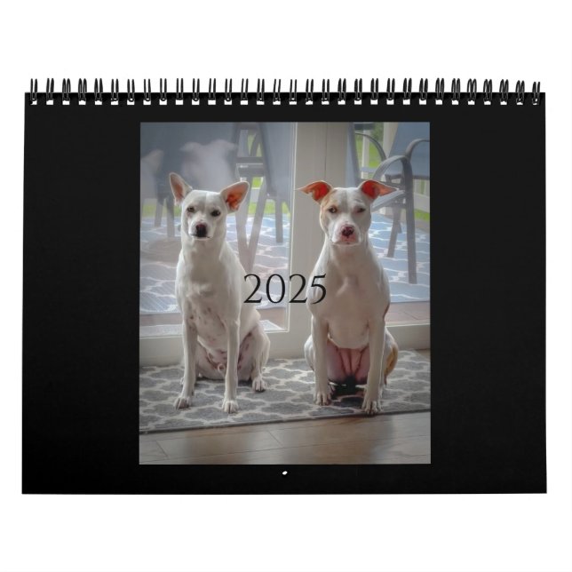 Pancake och mjölkskakning, medelkalender kalender (Omslag)