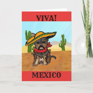 Pancho Yorkie Poo Kort