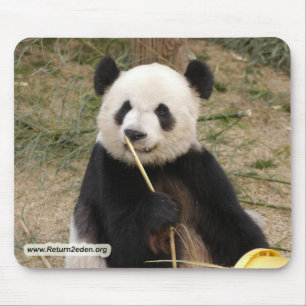 panda106 kopierar musmatta