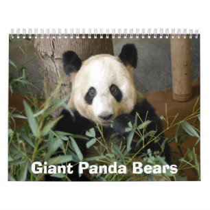panda117 jätte- Pandabjörnar Kalender