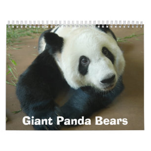 panda118 jätte- Pandabjörnar Kalender