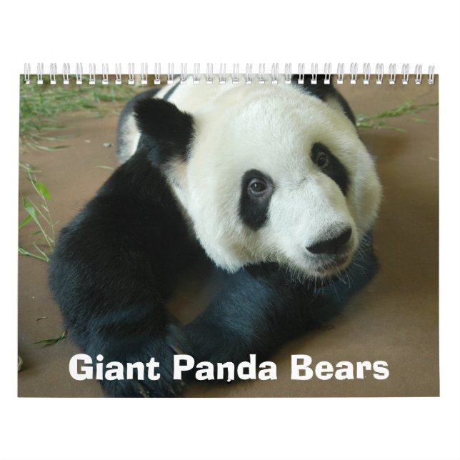 panda118 jätte- Pandabjörnar Kalender (Omslag)