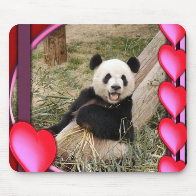 panda1-00098-85x85 musmatta (Framsidan)