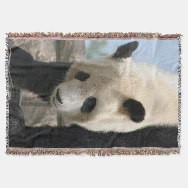 Panda20170506_by_JAMFoto Mysfilt (Framsidan)