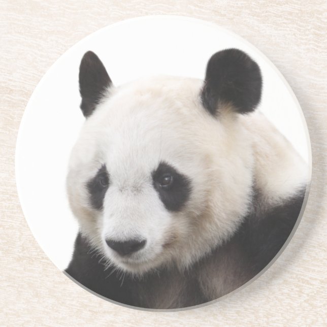 “Panda”の優良製品 Underlägg Sandsten (Framsidan)