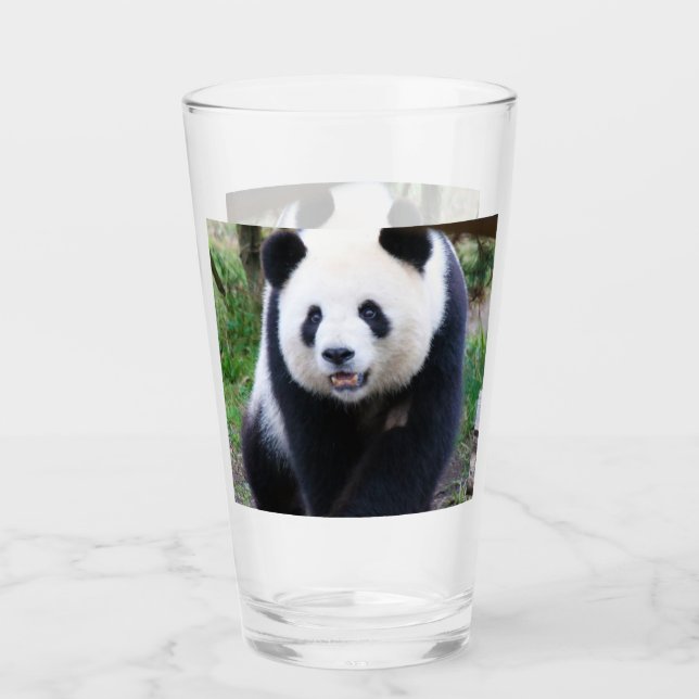 Panda_20190301_av_JAMFoto Glaskopp (Framsida)
