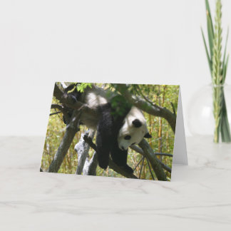 Panda #4 kort