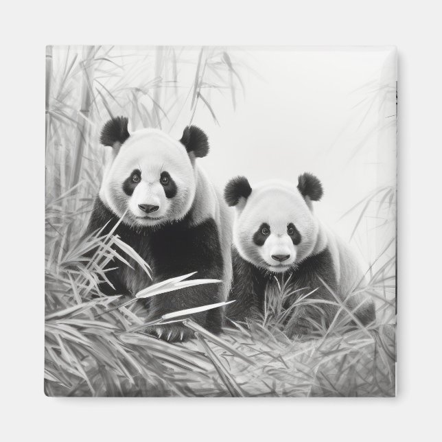 Panda Animal Discovery Vild Nature Bläck Sketch Ar Magnet (Framsidan)