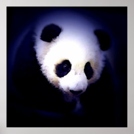 Panda ansikte affisch - Panda affischer tryck