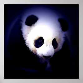 Panda Ansikte Poster - Panda Poster utskrifter