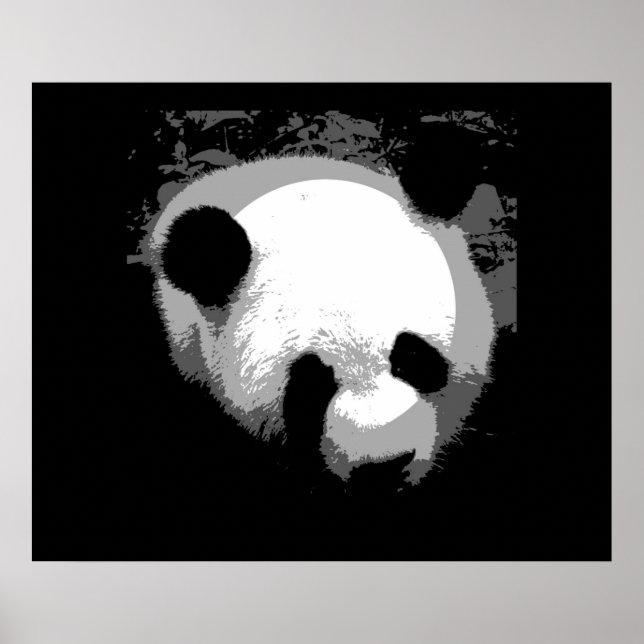 Panda Ansikte Poster Skriv ut - Panda Poster (Framsidan)