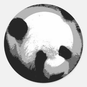 Panda Ansikte Runt Klistermärke