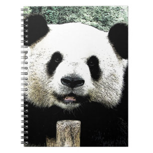 Panda Anteckningsbok