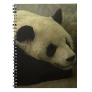 Panda-anteckningsbok Anteckningsbok