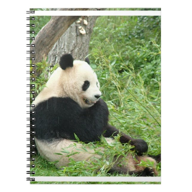 Panda anteckningsbok med spiral (Framsidan)