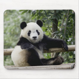 Panda Avslappningstid Musmattor