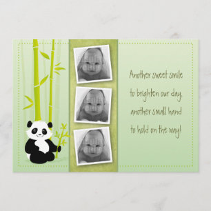 Panda bamboo - födelseattest meddelande