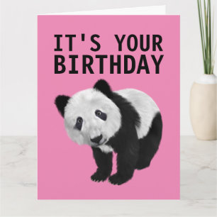 PANDA BÄRA ÖVERSTÄNDIGT BIRTHDAY-KORT KORT