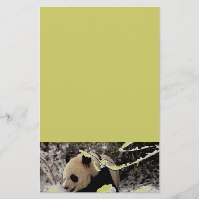 Panda Bear (Framsida)