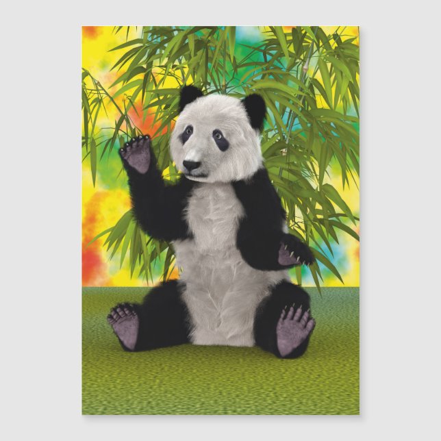 Panda Bear (Framsida)