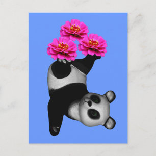 Panda Bear and Rosa Zinnia Flower Postcard Vykort