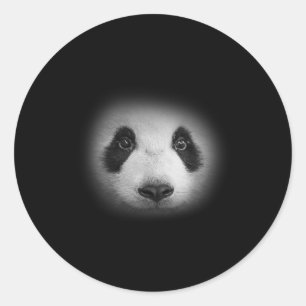 Panda Bear Ansikte för Djur älskare och naturpäron Runt Klistermärke