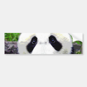 Panda Bear Bildekal