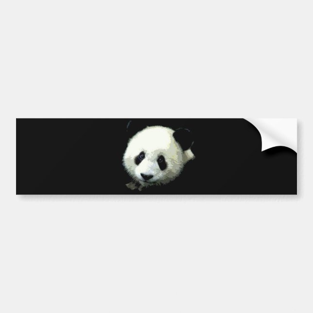 Panda Bear Bildekal (Framsidan)