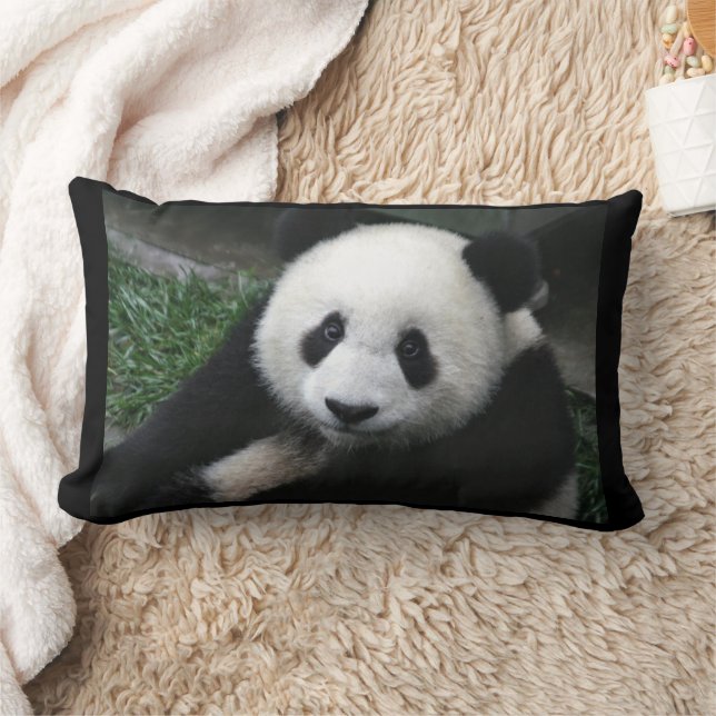 PANDA BEAR CUDDLE PILLOWS LUMBARKUDDE (Filt)
