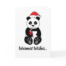 Panda Bear Eating a Candy cane vid jul