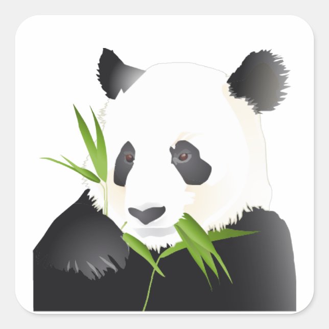 Panda Bear Fyrkantigt Klistermärke (Framsida)