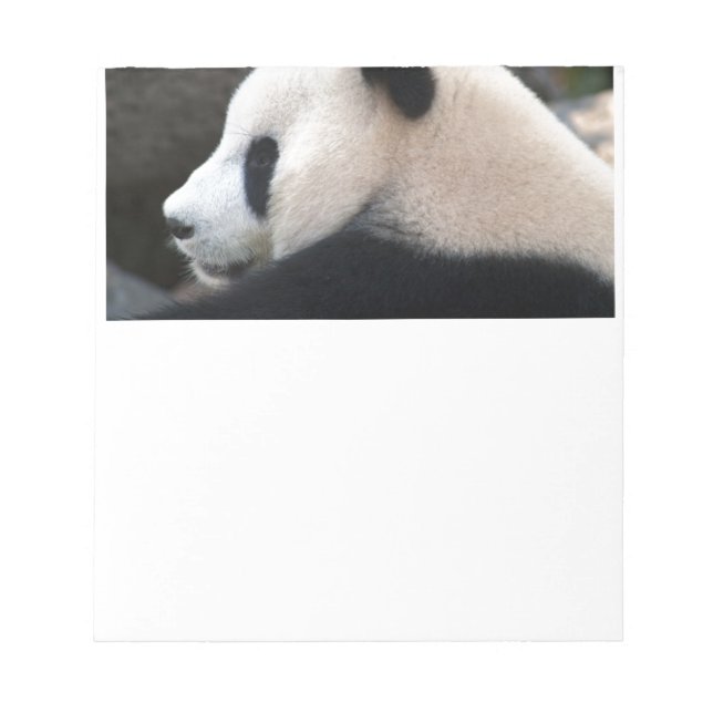 Panda Bear Hugs Anteckningsblock (Framsida)