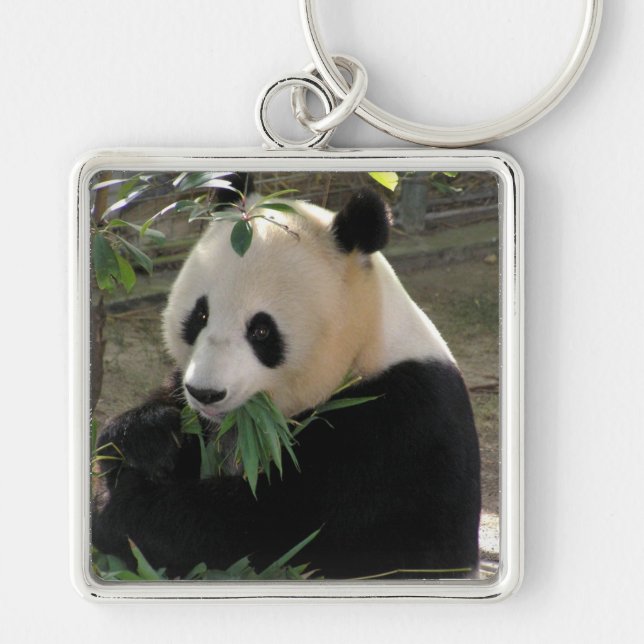 Panda Bear Hugs Fyrkantig Silverfärgad Nyckelring (Framsidan)