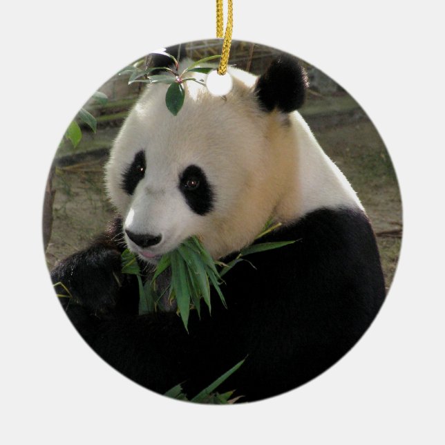 Panda Bear Hugs Julgransprydnad Keramik (Framsidan)