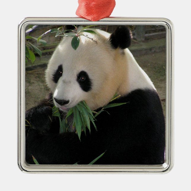Panda Bear Hugs Julgransprydnad Metall (Framsidan)
