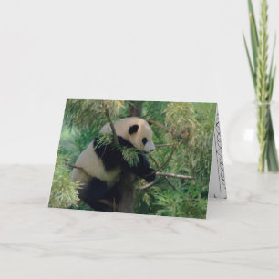 Panda Bear Hugs Kort