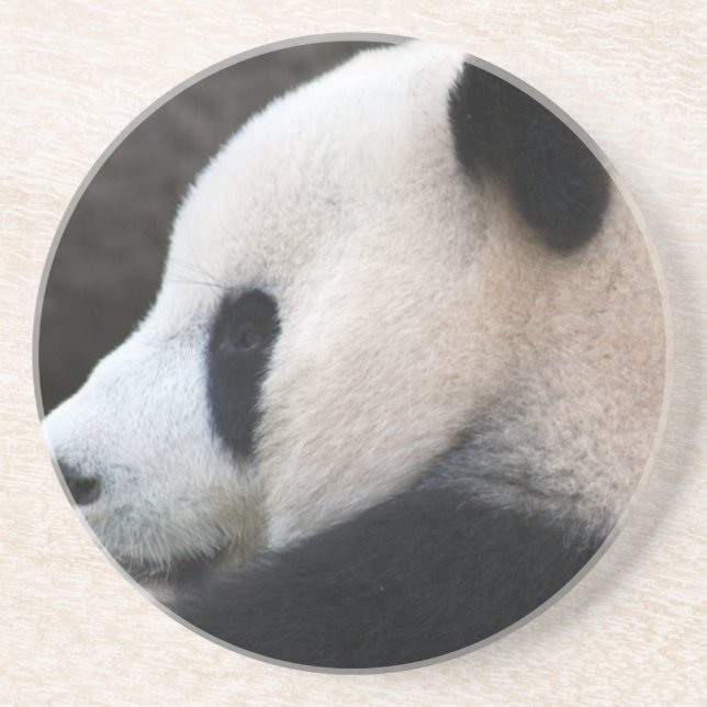 Panda Bear Hugs Underlägg (Framsidan)