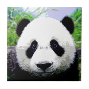 Panda Bear Kakelplatta