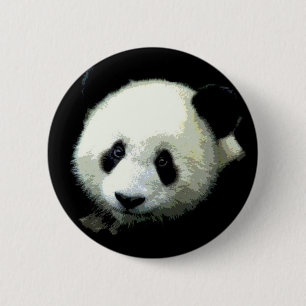Panda Bear Knapp