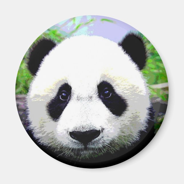 Panda Bear Magnet (Framsidan)