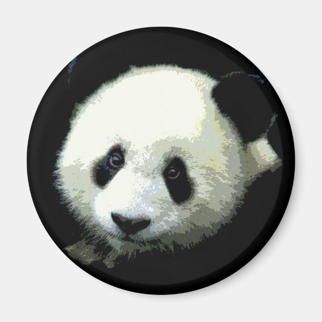 Panda Bear Magnet (Framsidan)