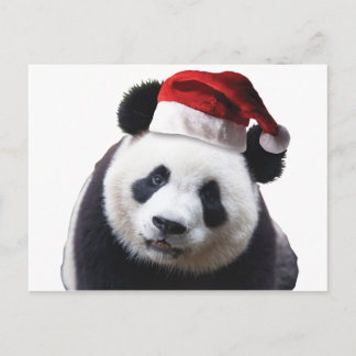Panda Bear med jultomten Hat Helg Vykort