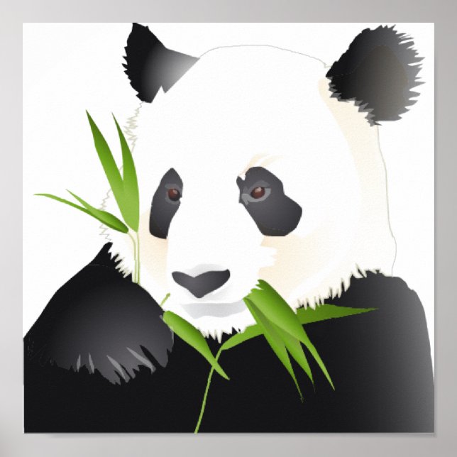 Panda Bear Poster (Framsidan)