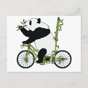 Panda Bear Riding Bamboo Bike Vykort