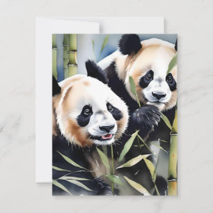 Panda Bear Study B - Vattenfärger Julkort